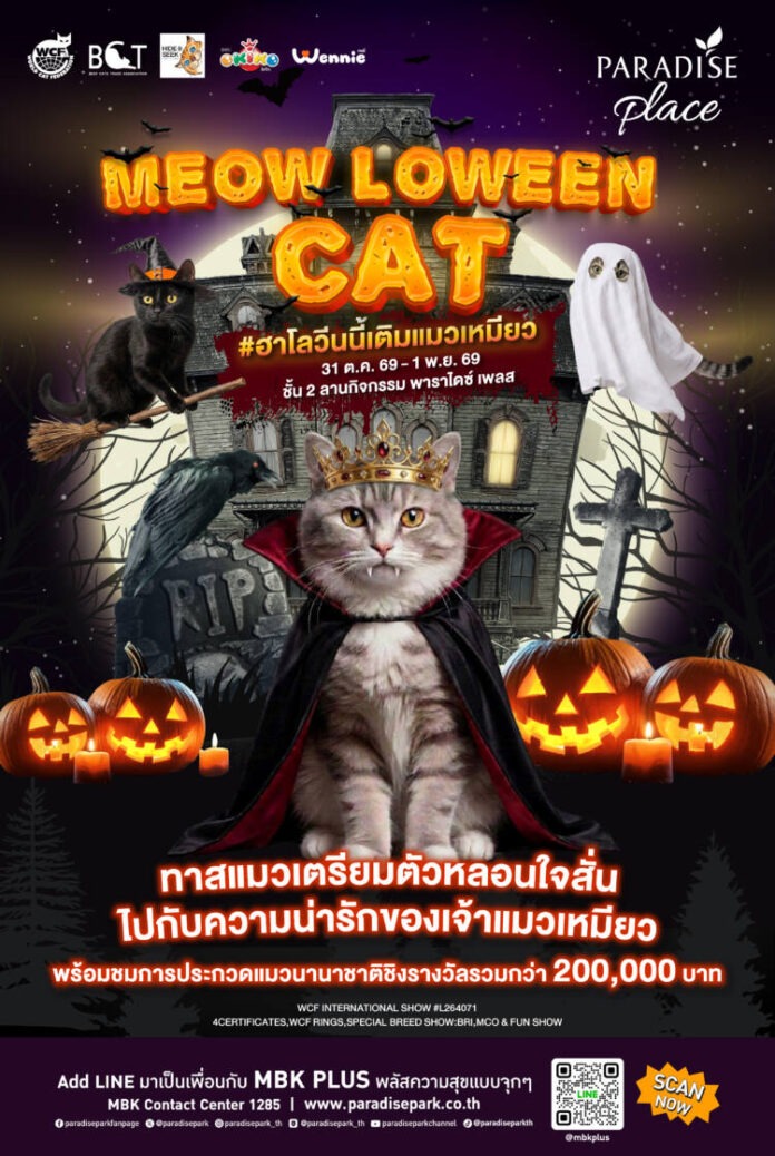 Meowloween - Final AW